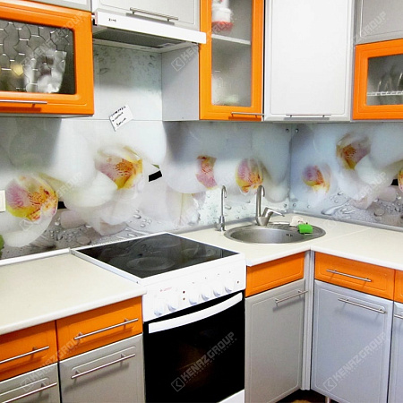 Фото - Скинали из стекла с орхидеей  от KenazGroup.pro