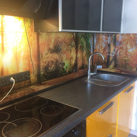 Фото - Скинали из закаленного стекла  от KenazGroup.pro