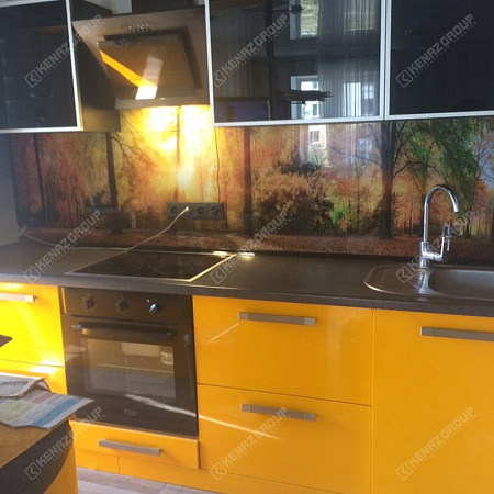 Фото - Скинали из закаленного стекла  от KenazGroup.pro