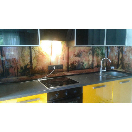 Фото - Скинали из закаленного стекла  от KenazGroup.pro